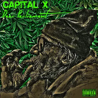 Dear Parliament by Capital X