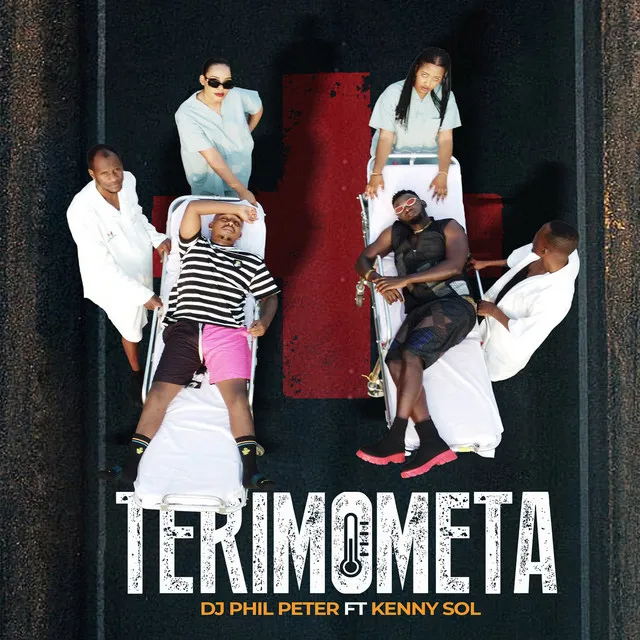 Terimometa