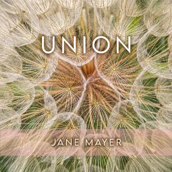 Union by Jane Mayer