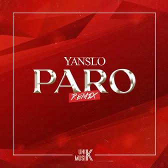 Paro (remix) by Yanslo