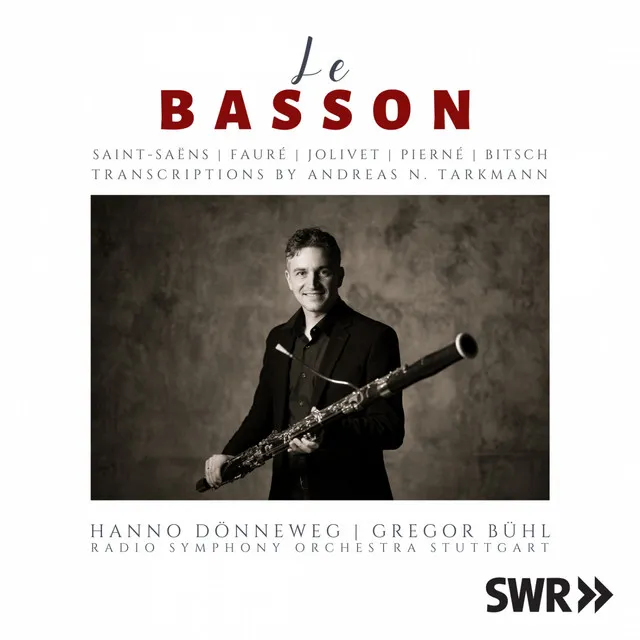 Concertino pour basson et orchestre: 2. II. Allegro vivace