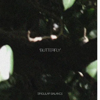 Butterfly by singular balance