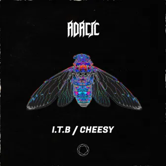 I.T.B / Cheesy by Adacic