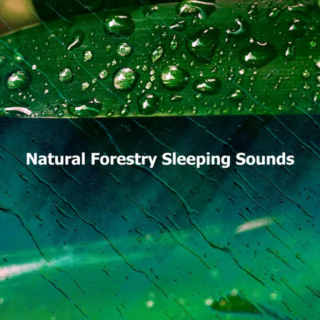 Natural Forestry Sleeping Sounds