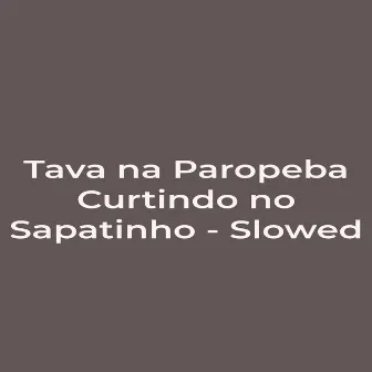 Tava na Paropeba Curtindo no Sapatinho - Slowed by MC NIQUE FXR