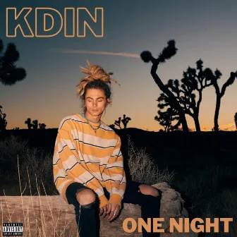 One Night by KDIN