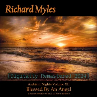 Ambient Nights Vol. XII - Blessed By An Angel by Unknown Artist