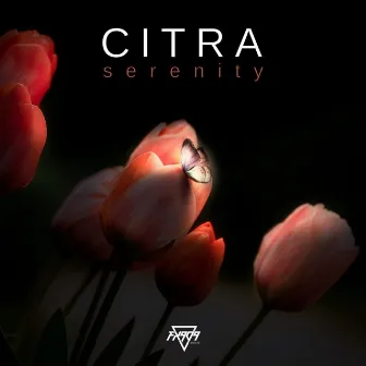 Serenity by CITRA