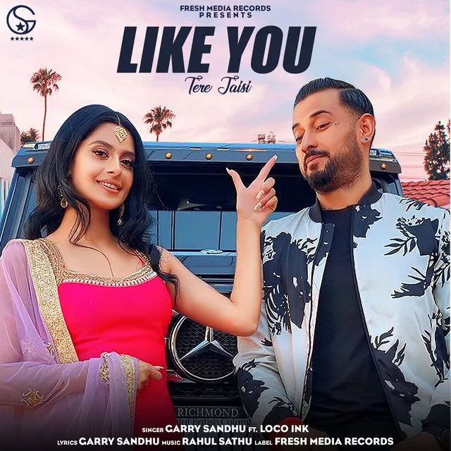 Like You - Tere Jaisi