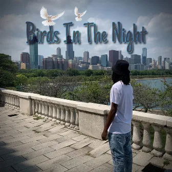 BIRDS IN THE NIGHT by Yung Uri