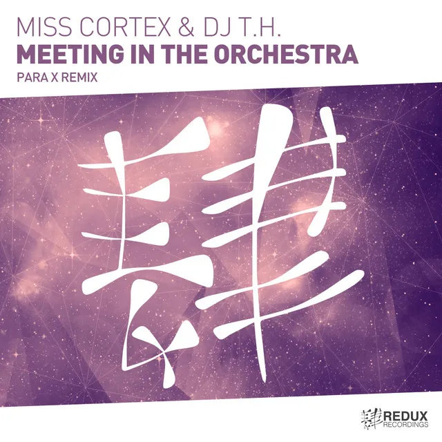 Meeting In The Orchestra - Para X Edit