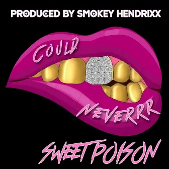 Could Neverrr Clean (Radio Edit) by Sweet Poison