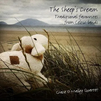 The Sheep's Dream by Grace O'malley Quartet