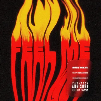 Feel Me by Idris Miles