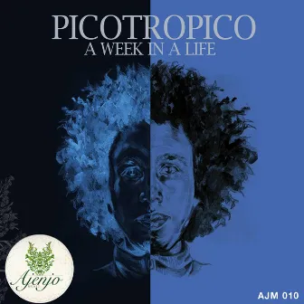 A Week in a Life by Picotropico