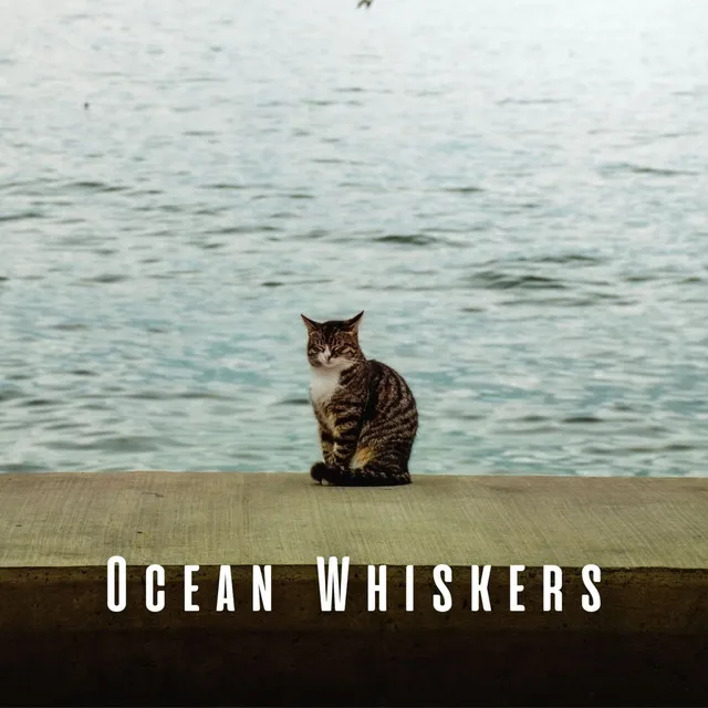 Ocean Whiskers: Tranquil Chill Sounds for Zen-Like Cats