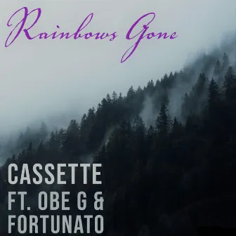 Rainbows Gone by Cassette