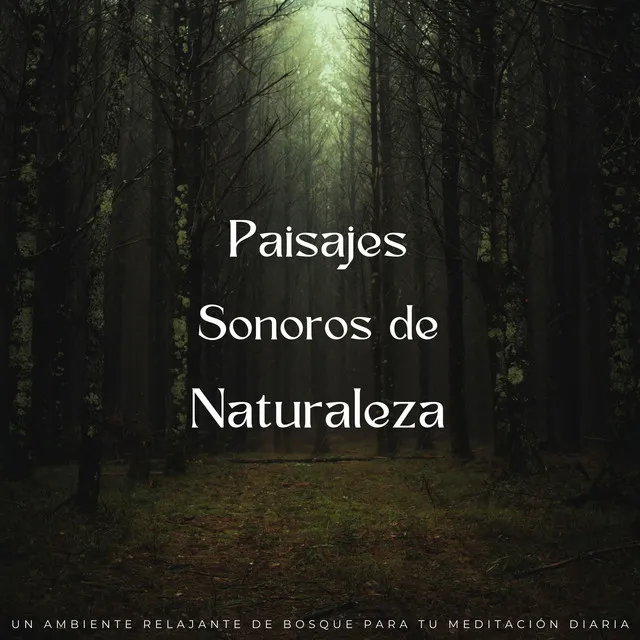 Paisajes Sonoros De Naturaleza: Un Ambiente Relajante De Bosque Para Tu Meditación Diaria