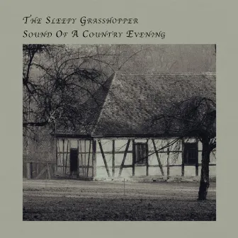 Sound Of A Country Evening by The Sleepy Grasshopper