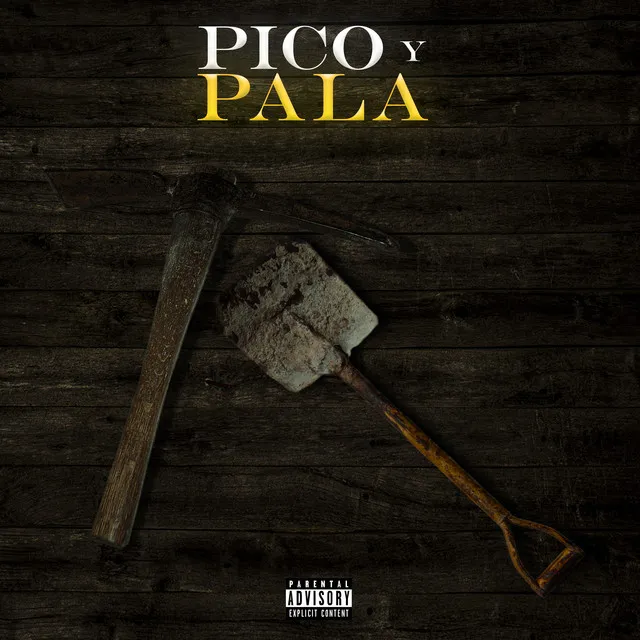 Pico y Pala