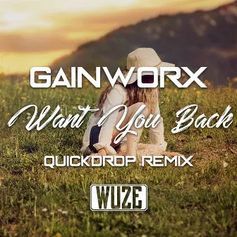 Want You Back (Quickdrop Remix) by Gainworx