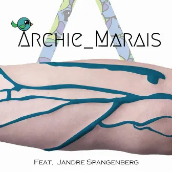 Past Remains (feat. Jandre Spangenberg) by Archie Marais