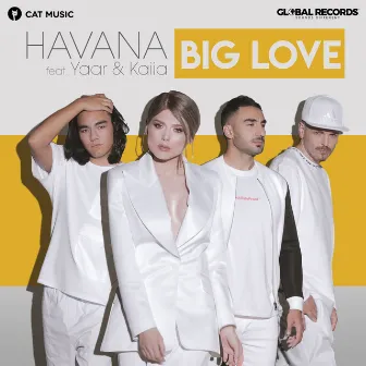 Big Love by Havana