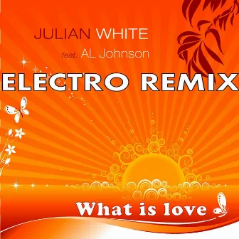 What Is Love by Al Johnson