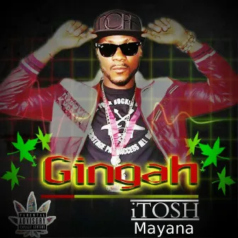 Gingah by iTosh Mayana