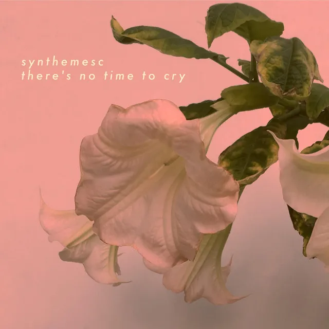 There's No Time to Cry