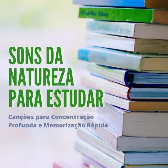 Sons da Natureza para Estudar: Canções para Concentração Profunda e Memorização Rápida by Beatriz Natureza Flores