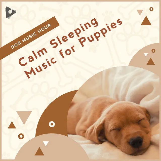 Peaceful Piano for Puppies