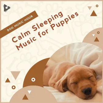 Calm Sleeping Music for Puppies by Music for Puppies