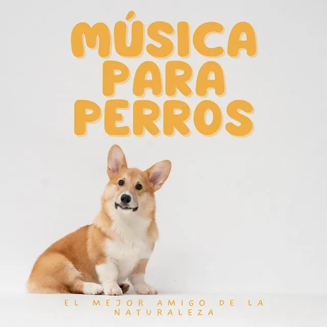 Música para tu perro