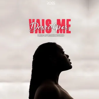 Vais Me Desculpar by Vald Ross