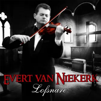 Lofsnare by Evert van Niekerk