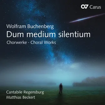 Dum medium silentium by Matthias Beckert