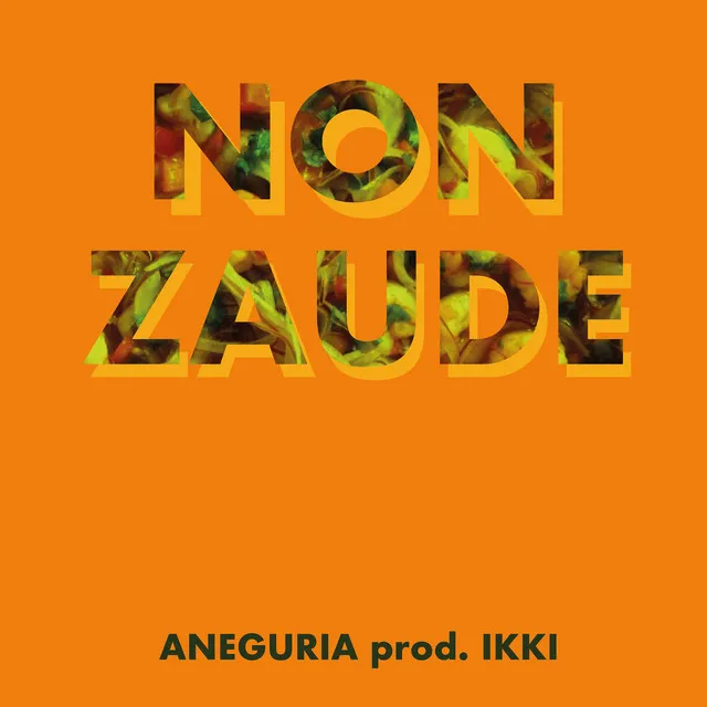 Non Zaude