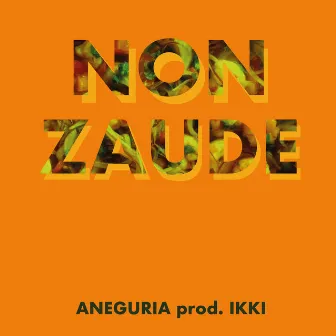 Non Zaude by Aneguria