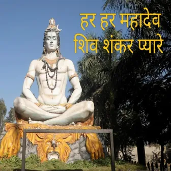 Har Har Mahadev Shiv Shankar by Niranjan Bhudhadhara