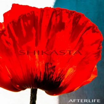 Shikasta by Afterlife