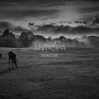 New Love by Anticipa