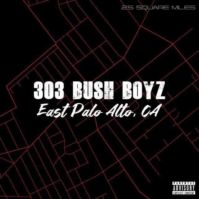 303 Bush Boyz