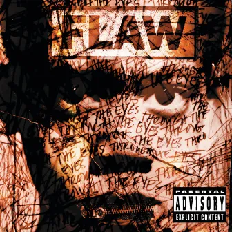 Through The Eyes by Flaw