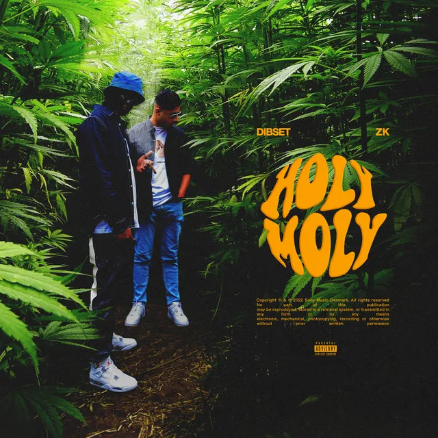 Holy Moly (feat. ZK)