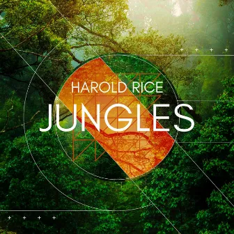 Jungles by Harold Rice