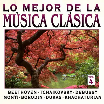 Música Clásica Vol.4 by Hamburg Symphony Orchestra