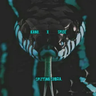 Spitting Cobra by Kano