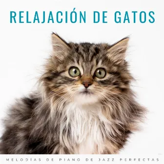 Relajación De Gatos: Melodías De Piano De Jazz Perfectas by Música para Gatos TA