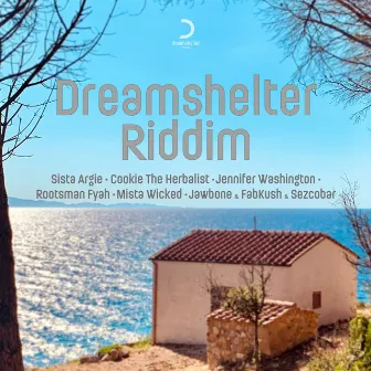 Dreamshelter Riddim by Dreamshelter Riddim